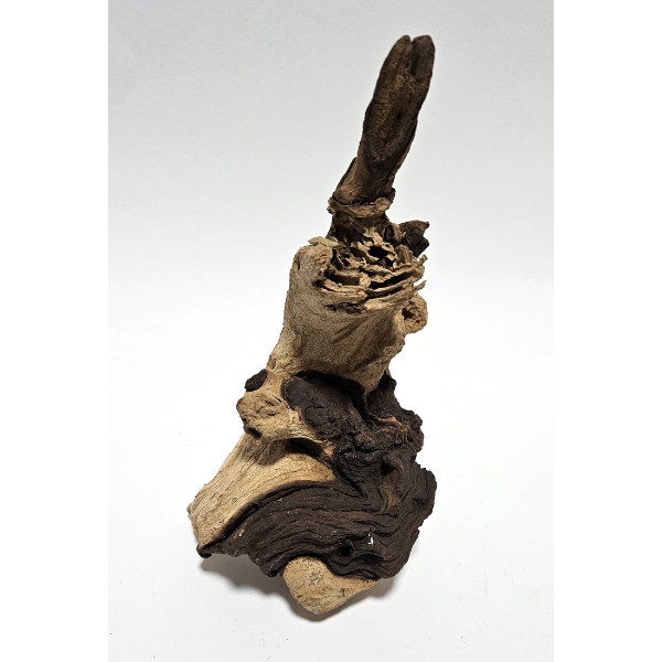 Aquadeco Mopani Wurzel S 2-farbig #118