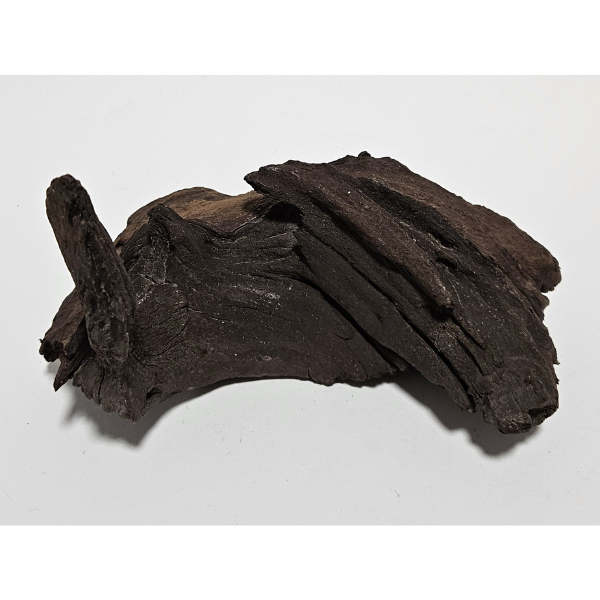 Aquadeco Mopani Wurzel S braun #119