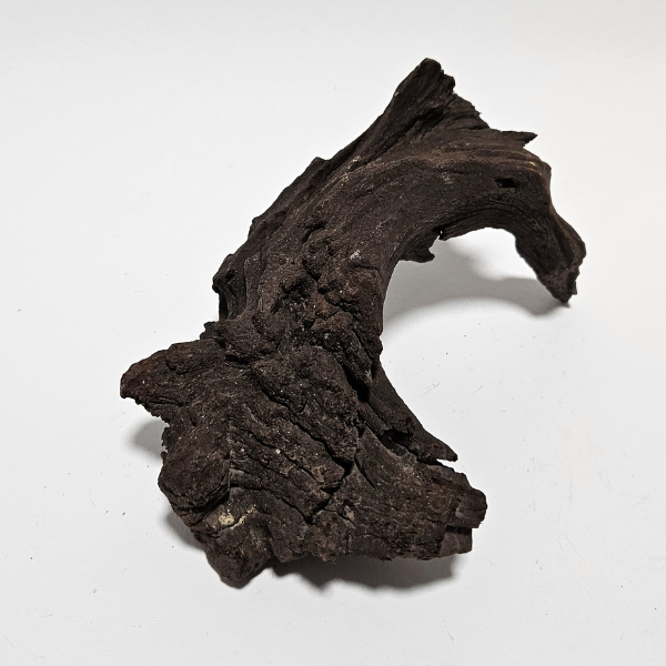 Aquadeco Mopani Wurzel S braun #119