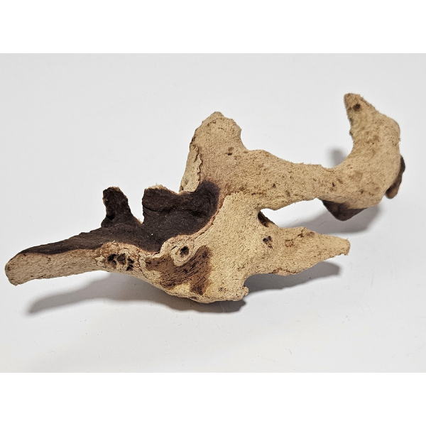 Aquadeco Mopani Wurzel S 2-farbig #121