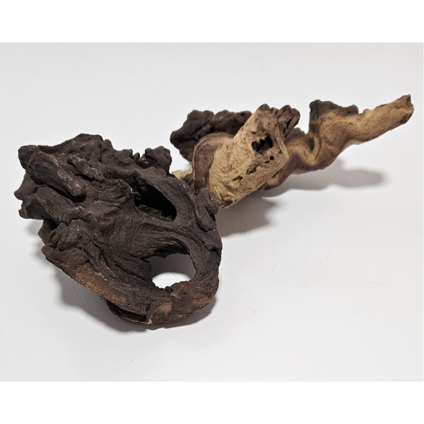 Aquadeco Mopani Wurzel S 2-farbig #122