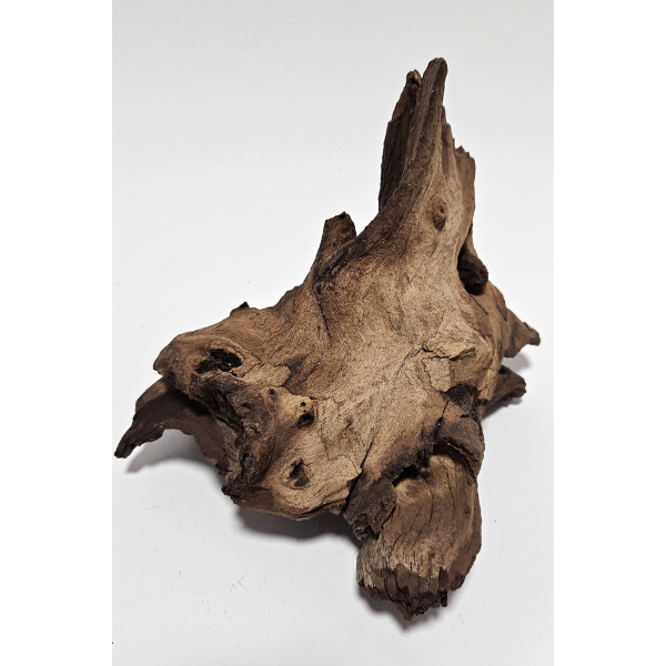 Aquadeco Mopani Wurzel S 2-farbig #123