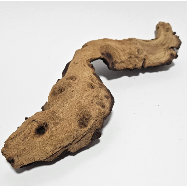 Aquadeco Mopani Wurzel S 2-farbig #124