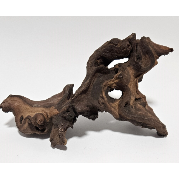 Aquadeco Mopani Wurzel S braun #125