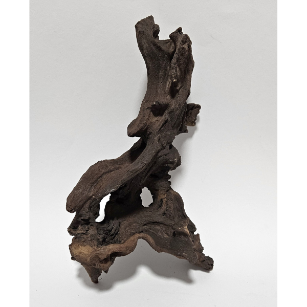 Aquadeco Mopani Wurzel S braun #125