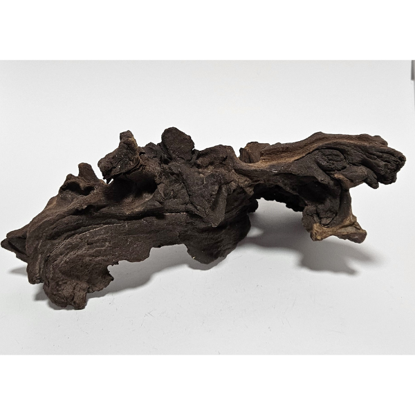 Aquadeco Mopani Wurzel S braun #125