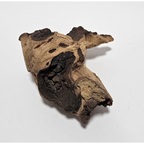 Aquadeco Mopani Wurzel S 2-farbig #126