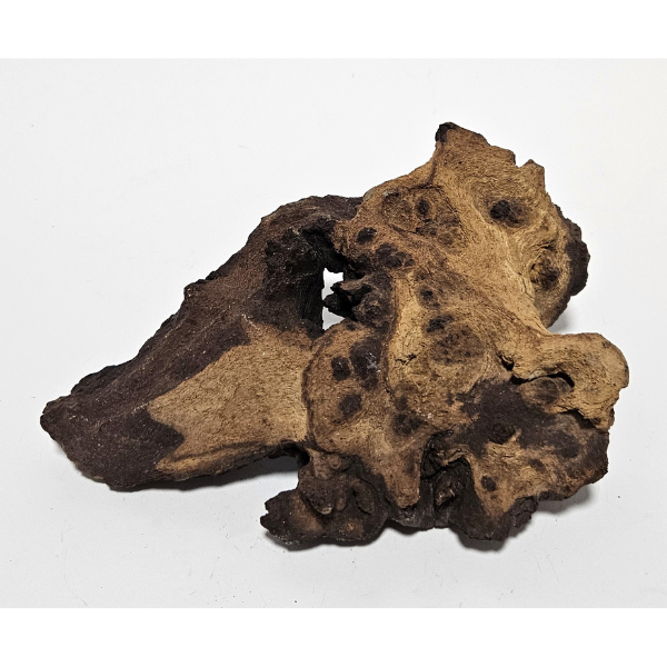 Aquadeco Mopani Wurzel S 2-farbig #127