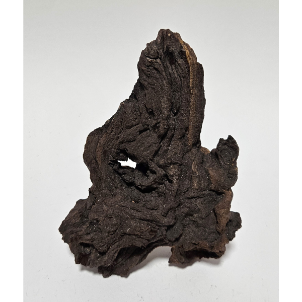 Aquadeco Mopani Wurzel S 2-farbig #127