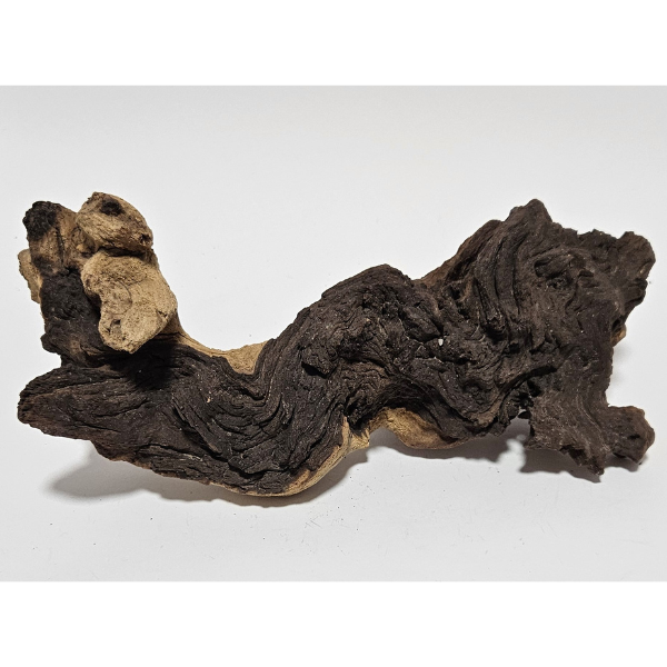 Aquadeco Mopani Wurzel S 2-farbig #128