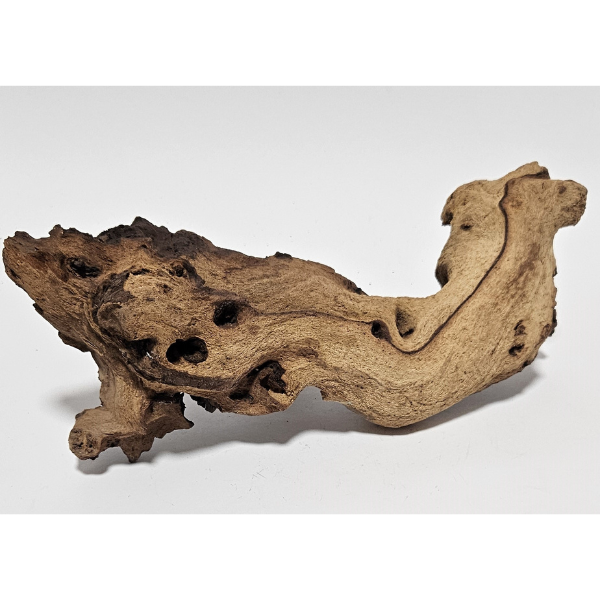 Aquadeco Mopani Wurzel S 2-farbig #128