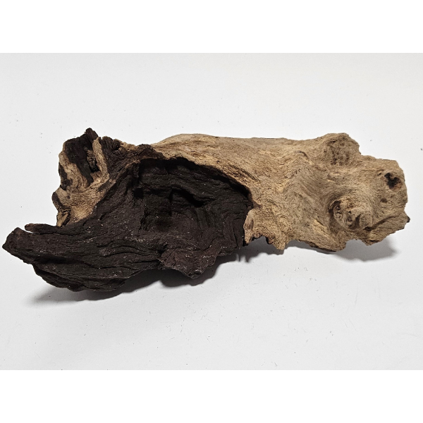 Aquadeco Mopani Wurzel S 2-farbig #129