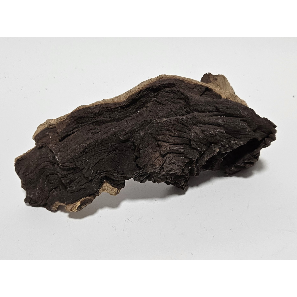 Aquadeco Mopani Wurzel S 2-farbig #129