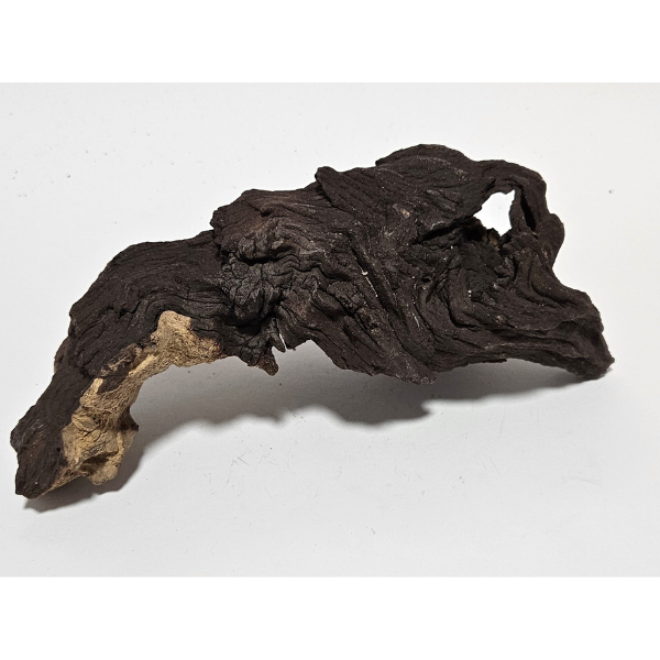 Aquadeco Mopani Wurzel S 2-farbig #129