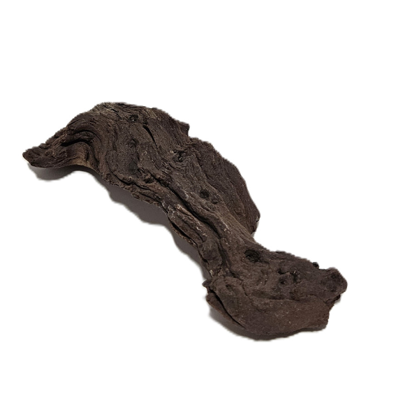 Aquadeco Mopani Wurzel S braun #131