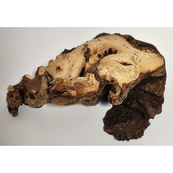 Hobby Mopani Wurzel S 2-farbig #091