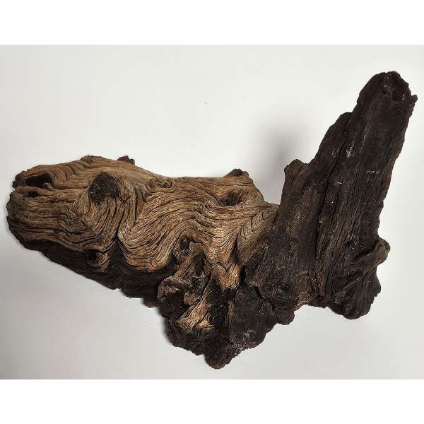 Hobby Mopani Wurzel S 2-farbig #092