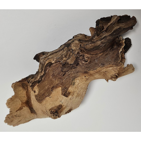 Hobby Mopani Wurzel S 2-farbig #094