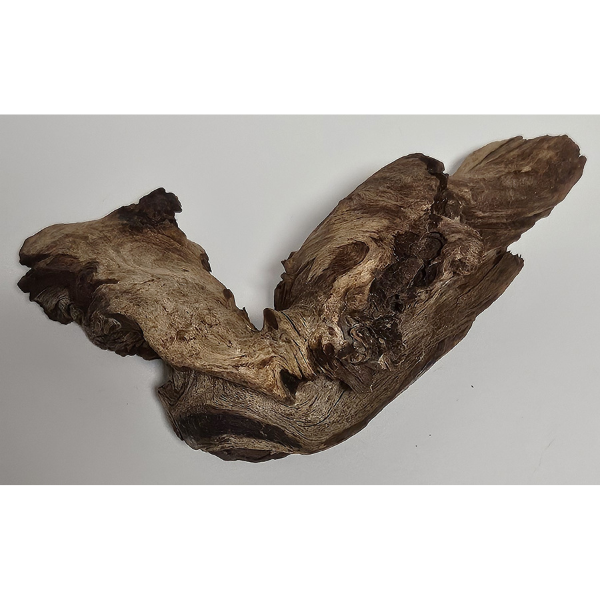Hobby Mopani Wurzel S 2-farbig #096