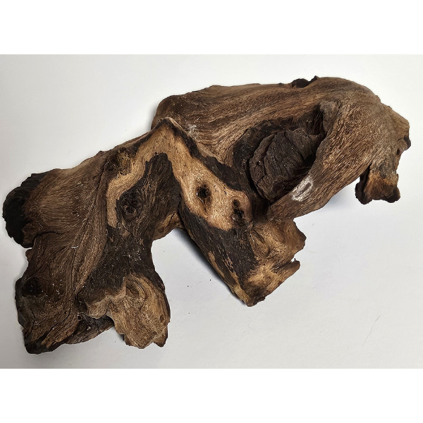 Hobby Mopani Wurzel S 2-farbig #099