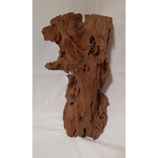 aquadeco Mangroven Wurzel L #056 Aquarium- Terrarium Dekoration