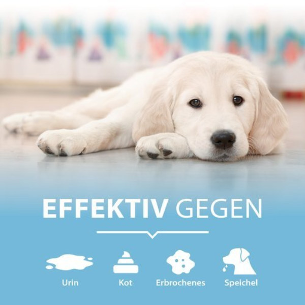 Arka Pipi-Weg Hund Geruchs- & Fleckenentferner 750 ml