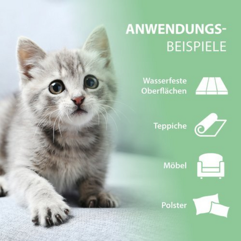 Arka Pipi-Weg Katze Geruchs- & Fleckenentferner 750 ml