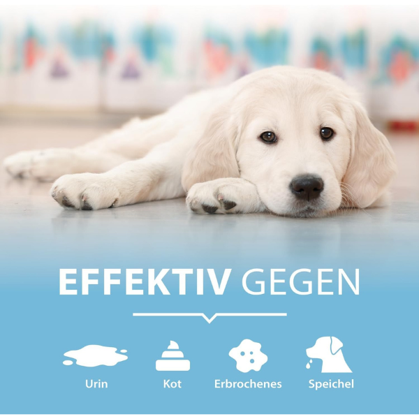 Arka Pipi-Weg Hund Geruchs- & Fleckenentferner 100 ml Für Unterwegs