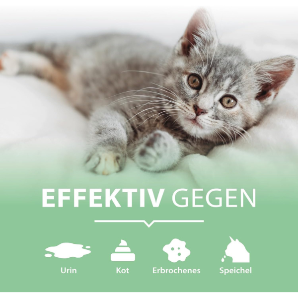 Arka Pipi-Weg Katze Geruchs- & Fleckenentferner 100 ml Für Unterwegs