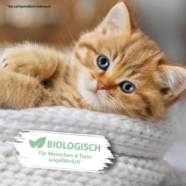 Arka Pipi-Weg Katze Geruchs- & Fleckenentferner 100 ml Für Unterwegs