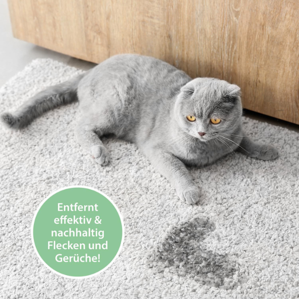 Arka Pipi-Weg Katze Geruchs- & Fleckenentferner 100 ml Für Unterwegs