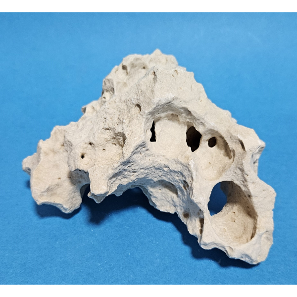 Orbit Lochgestein Sansibar S #003