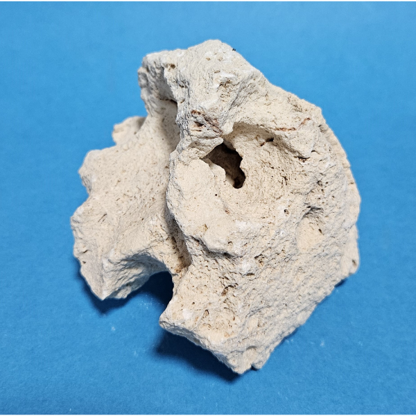 Orbit Lochgestein Sansibar S #004