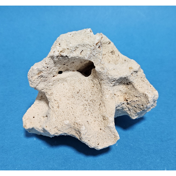 Orbit Lochgestein Sansibar S #004