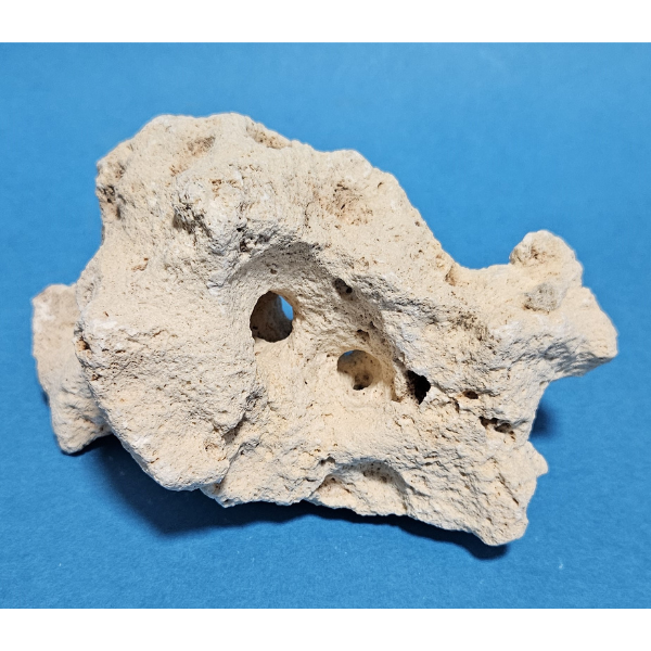 Orbit Lochgestein Sansibar S #005