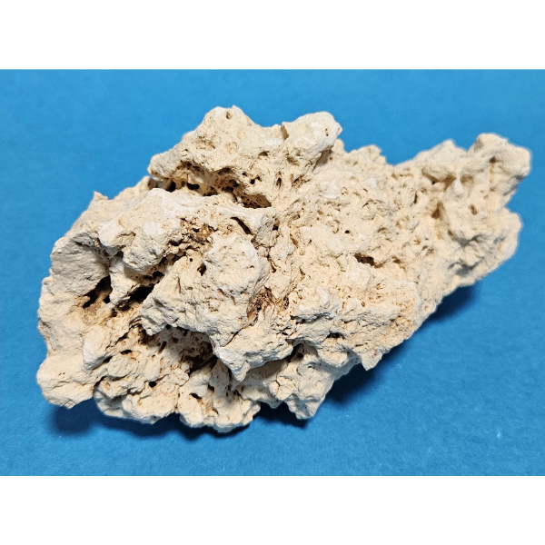 Orbit Lochgestein Sansibar S #006