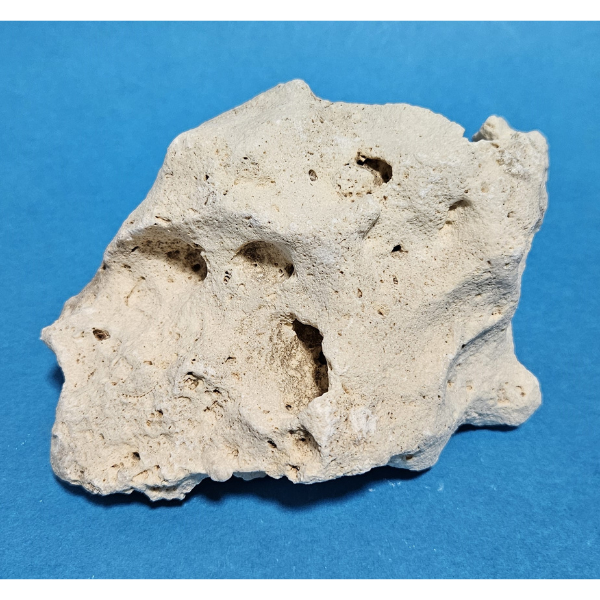 Orbit Lochgestein Sansibar S #007