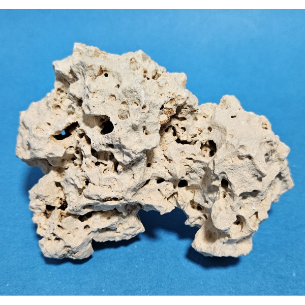 Orbit Lochgestein Sansibar S #008