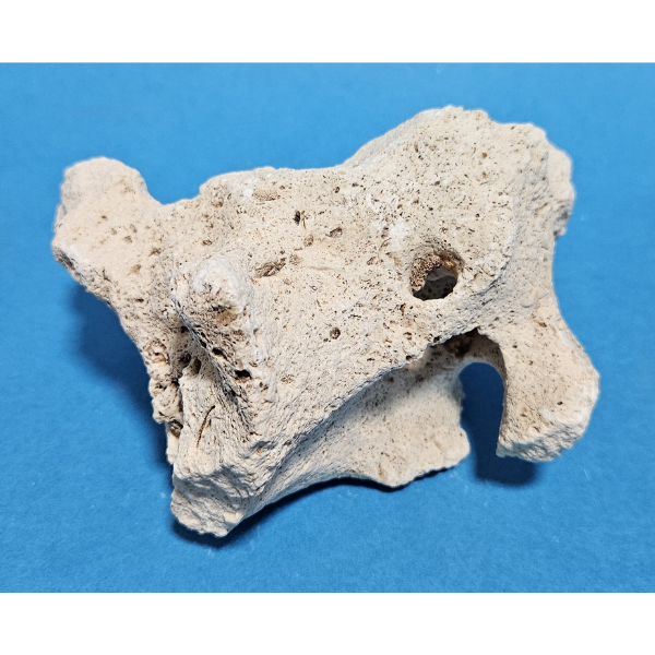 Orbit Lochgestein Sansibar S #009