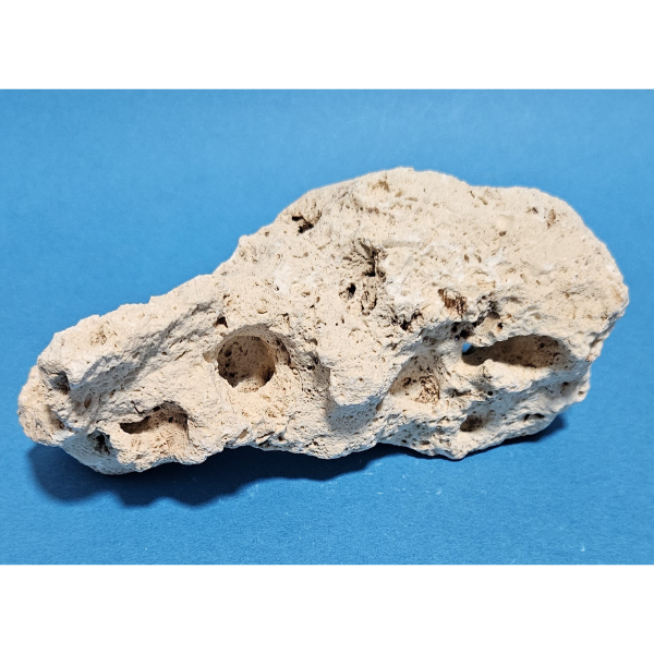 Orbit Lochgestein Sansibar S #010