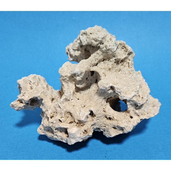 Orbit Lochgestein Sansibar S #014