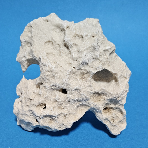 Orbit Lochgestein Sansibar S #015