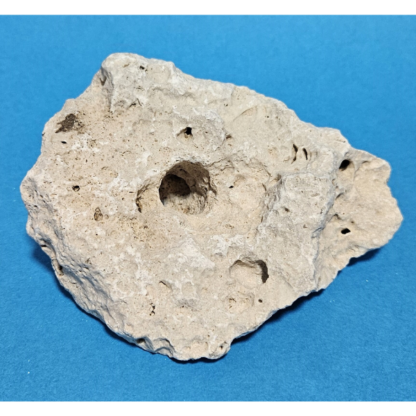 Orbit Lochgestein Sansibar S #016