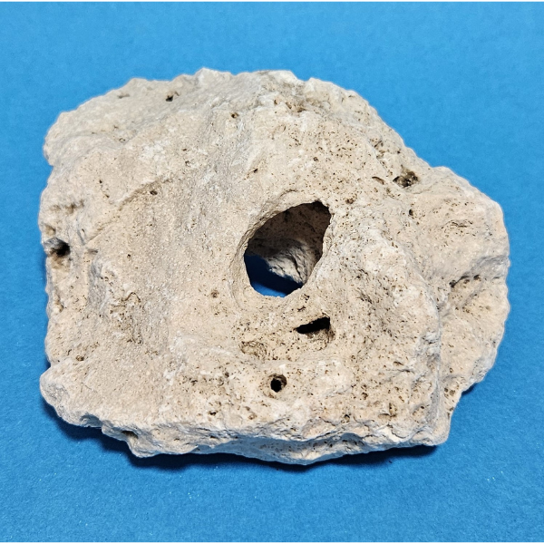 Orbit Lochgestein Sansibar S #016