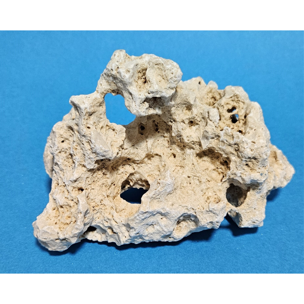 Orbit Lochgestein Sansibar S #017