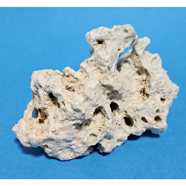 Orbit Lochgestein Sansibar S #017