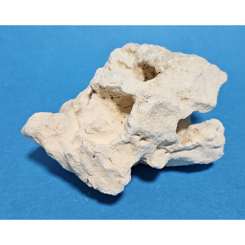 Orbit Lochgestein Sansibar S #091