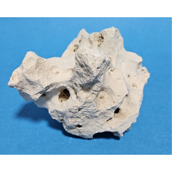 Orbit Lochgestein Sansibar S #092