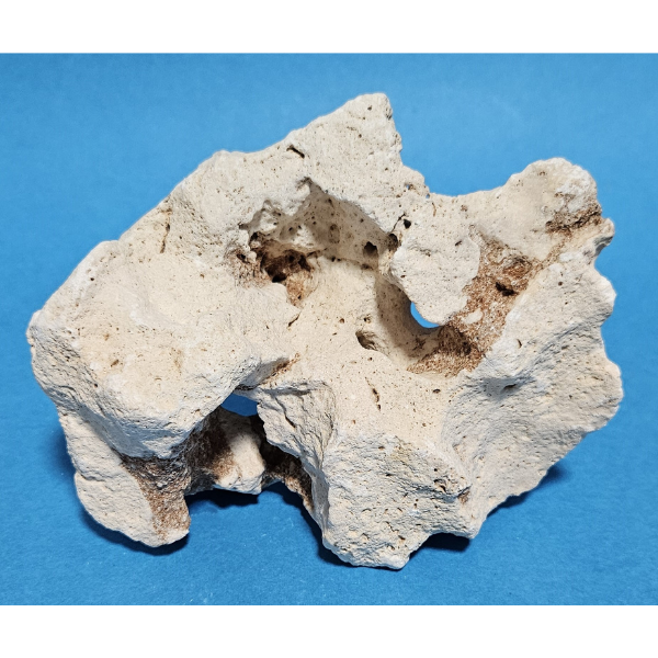 Orbit Lochgestein Sansibar S #093