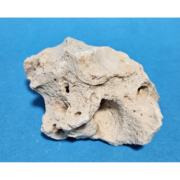 Orbit Lochgestein Sansibar S #094